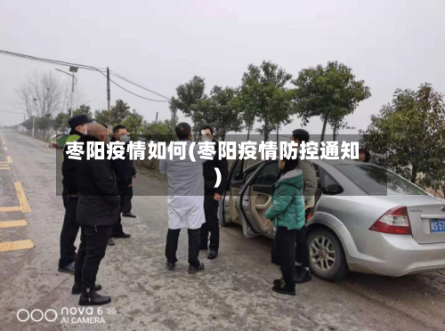 枣阳疫情如何(枣阳疫情防控通知)-第2张图片