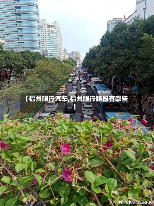 【福州限行汽车,福州限行路段有哪些】-第2张图片