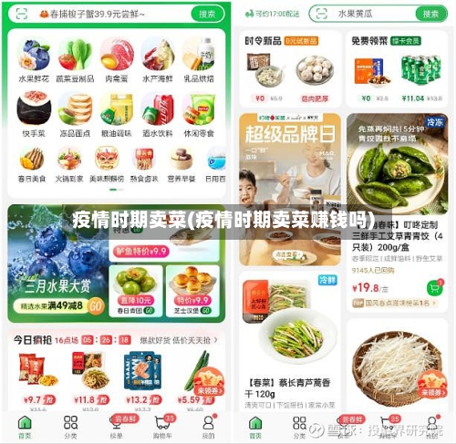 疫情时期卖菜(疫情时期卖菜赚钱吗)