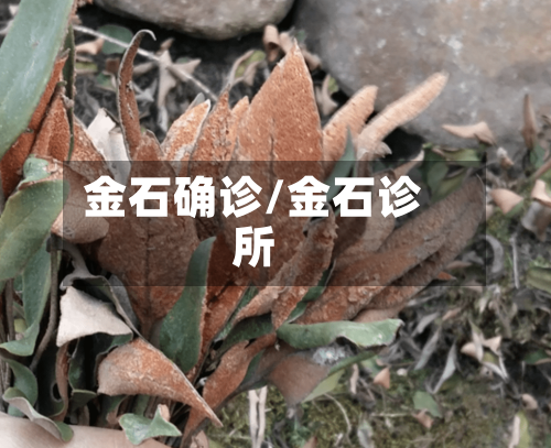 金石确诊/金石诊所