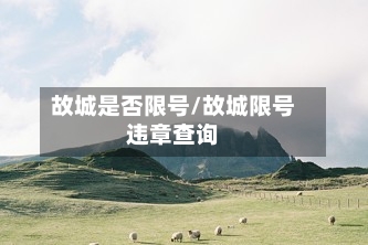 故城是否限号/故城限号违章查询