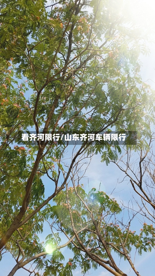 看齐河限行/山东齐河车辆限行