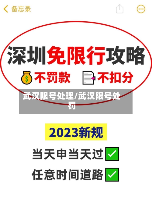 武汉限号处理/武汉限号处罚-第3张图片