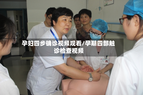 孕妇四步确诊视频观看/孕期四部触诊检查视频
