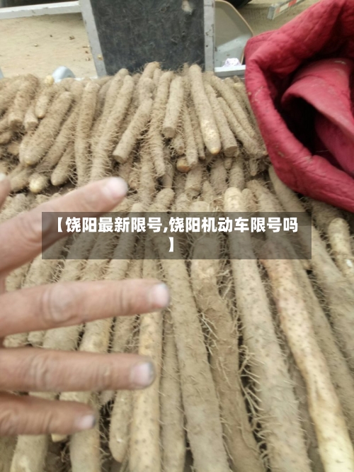 【饶阳最新限号,饶阳机动车限号吗】-第3张图片