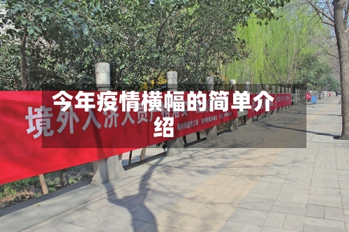 今年疫情横幅的简单介绍