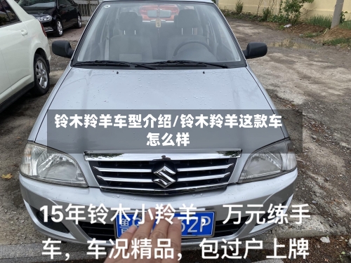 铃木羚羊车型介绍/铃木羚羊这款车怎么样-第2张图片