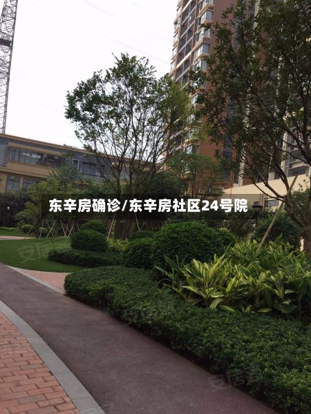 东辛房确诊/东辛房社区24号院