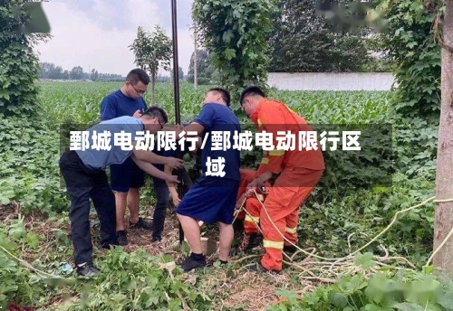 鄄城电动限行/鄄城电动限行区域-第2张图片