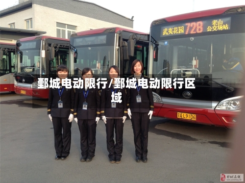鄄城电动限行/鄄城电动限行区域-第3张图片