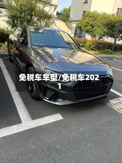 免税车车型/免税车2021-第2张图片