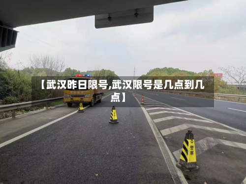 【武汉昨日限号,武汉限号是几点到几点】-第3张图片