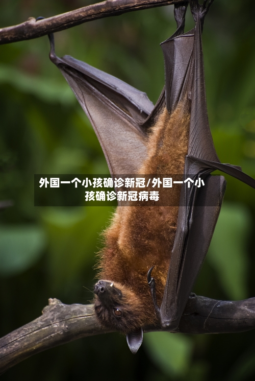 外国一个小孩确诊新冠/外国一个小孩确诊新冠病毒