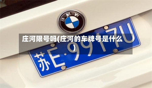 庄河限号吗(庄河的车牌号是什么)