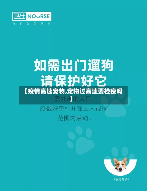 【疫情高速宠物,宠物过高速要检疫吗】