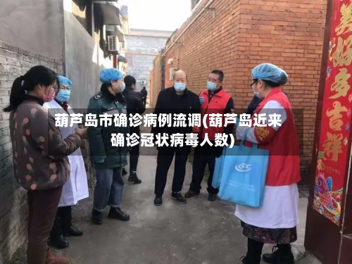 葫芦岛市确诊病例流调(葫芦岛近来确诊冠状病毒人数)