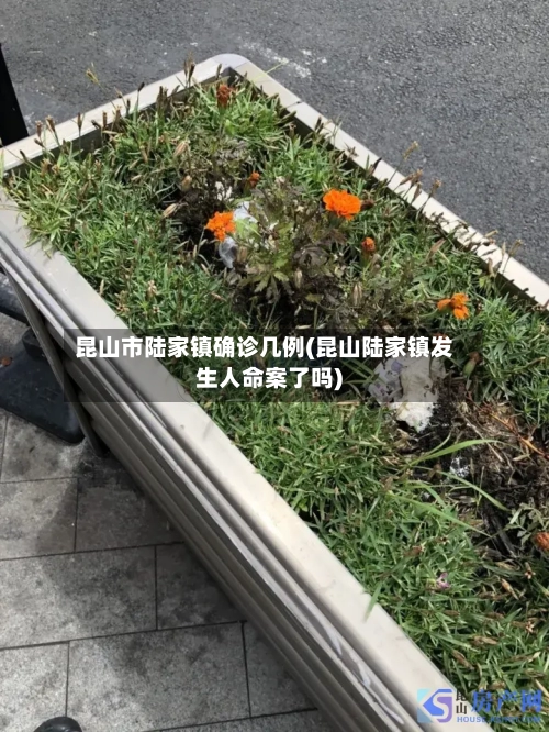 昆山市陆家镇确诊几例(昆山陆家镇发生人命案了吗)