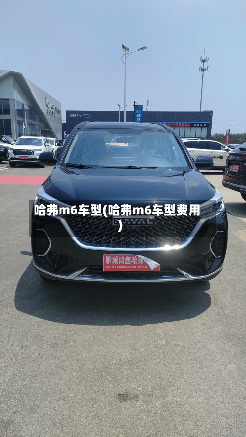 哈弗m6车型(哈弗m6车型费用)-第3张图片