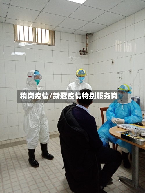稍岗疫情/新冠疫情特别服务岗
