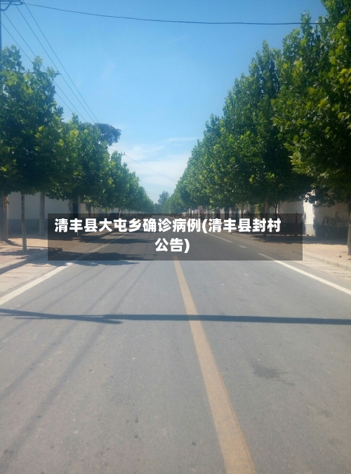 清丰县大屯乡确诊病例(清丰县封村公告)-第3张图片