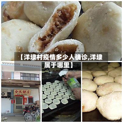 【洋埭村疫情多少人确诊,洋埭属于哪里】