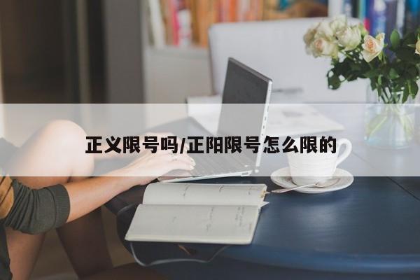 正义限号吗/正阳限号怎么限的