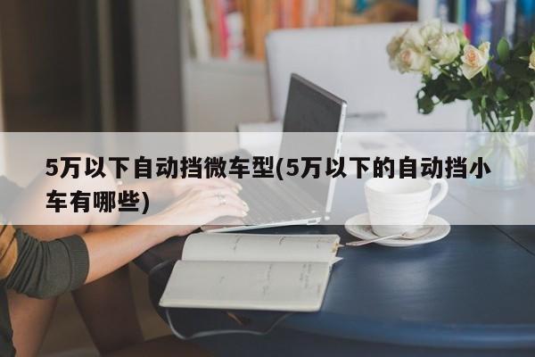 5万以下自动挡微车型(5万以下的自动挡小车有哪些)