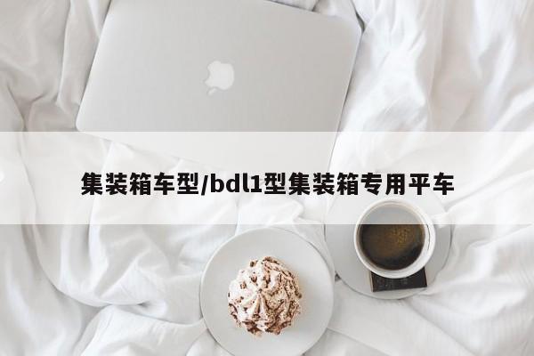 集装箱车型/bdl1型集装箱专用平车