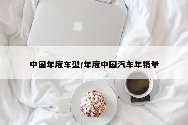 中国年度车型/年度中国汽车年销量