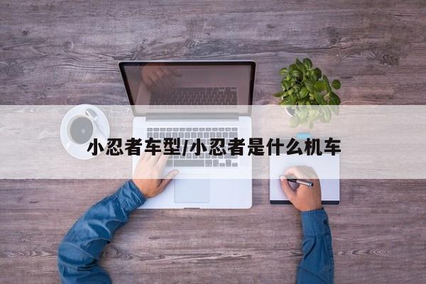 小忍者车型/小忍者是什么机车